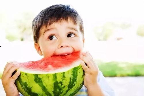 小杨爸遛鸟吃瓜视频大全,欢乐视频大盘点