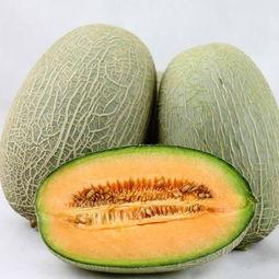 大鹅吃哈密瓜视频播放下载,视频播放与下载热潮