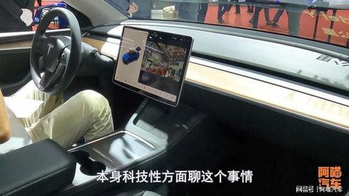特斯拉吃瓜群众视频,揭秘电动车界的“网红”现象