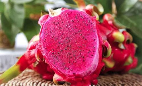 天才火龙果吃瓜视频,揭秘娱乐圈幕后真相