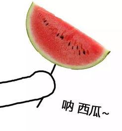 吃瓜手势怎么做视频教程,吃瓜手势视频教程，打造潮流短视频