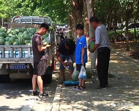 固安吃瓜群众事件视频曝光,视频曝光揭示现场冲突瞬间