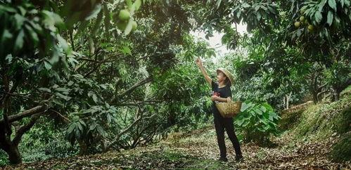 五一旅游女孩吃瓜视频播放,揭秘网红美食背后的故事